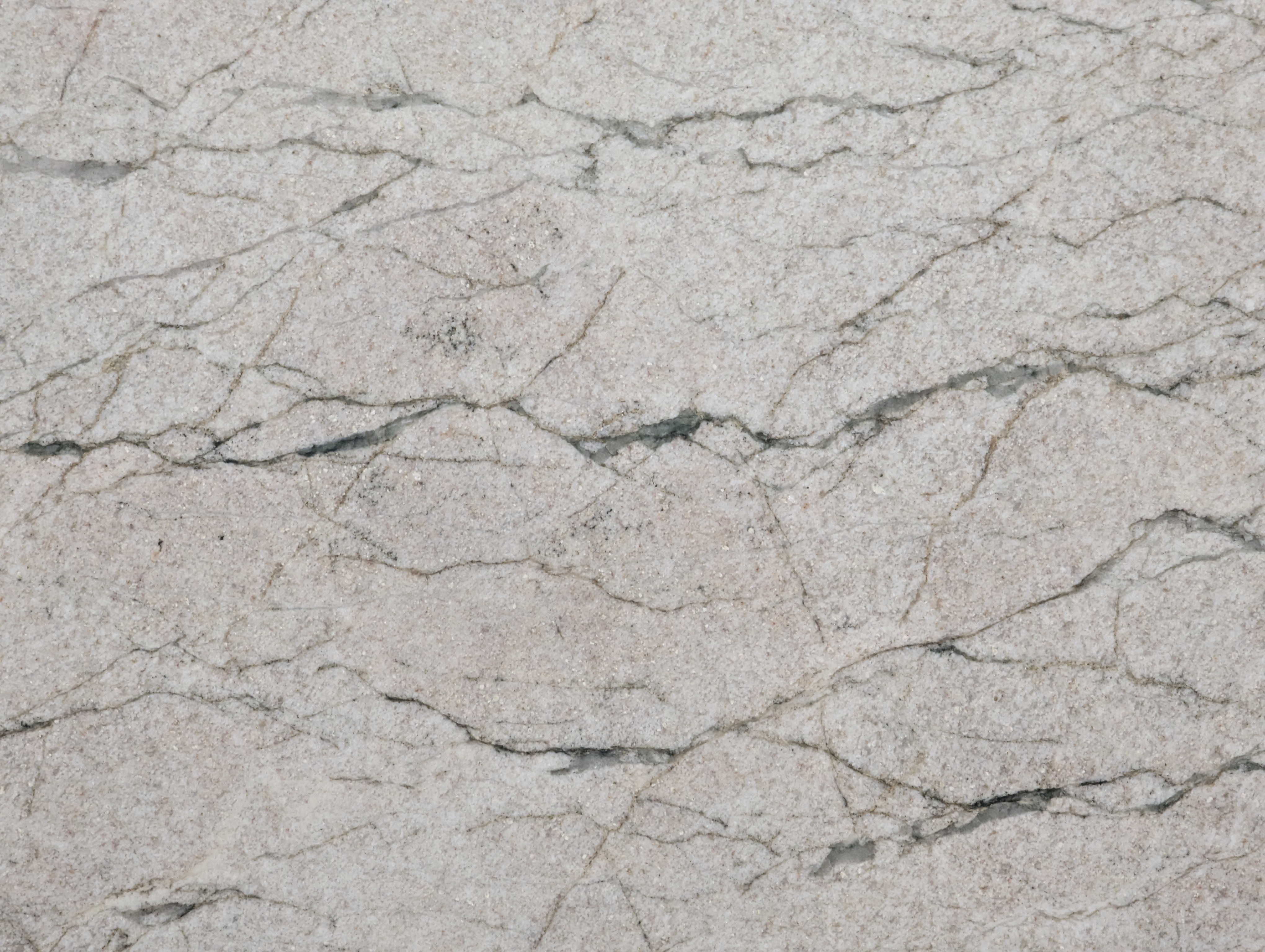 ABALONE-POLISHED-3CM