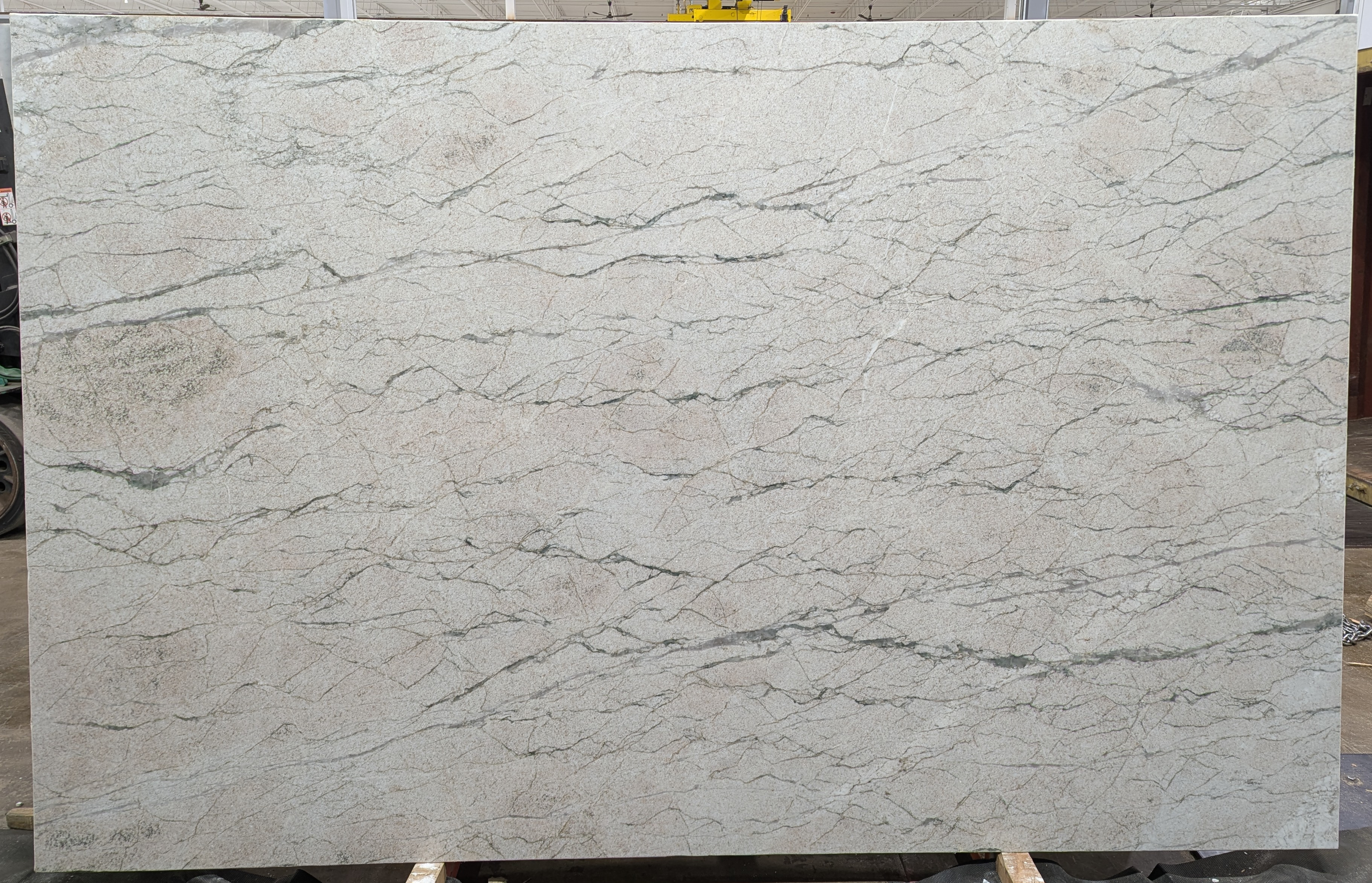 ABALONE-POLISHED-3CM