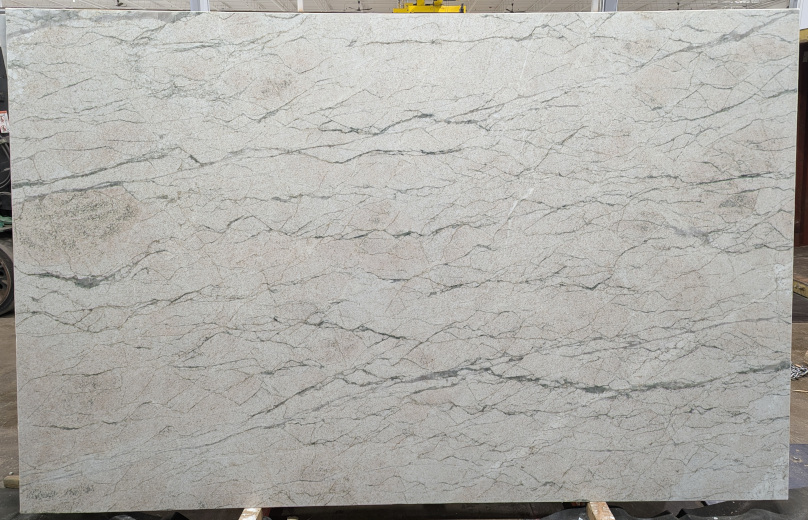 ABALONE-POLISHED-3CM 1