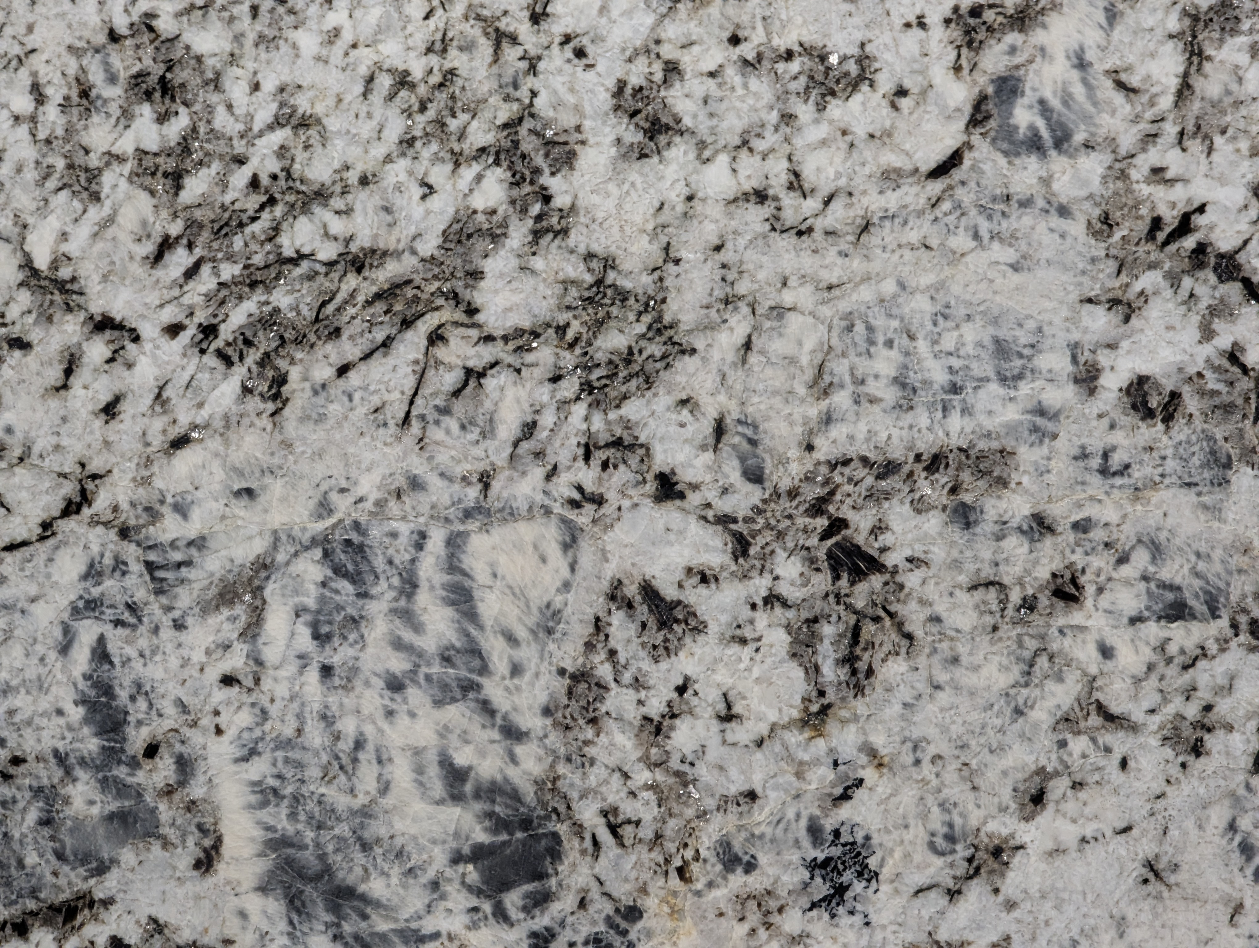 BLUE LABRADO-POL BRUSHED-3CM