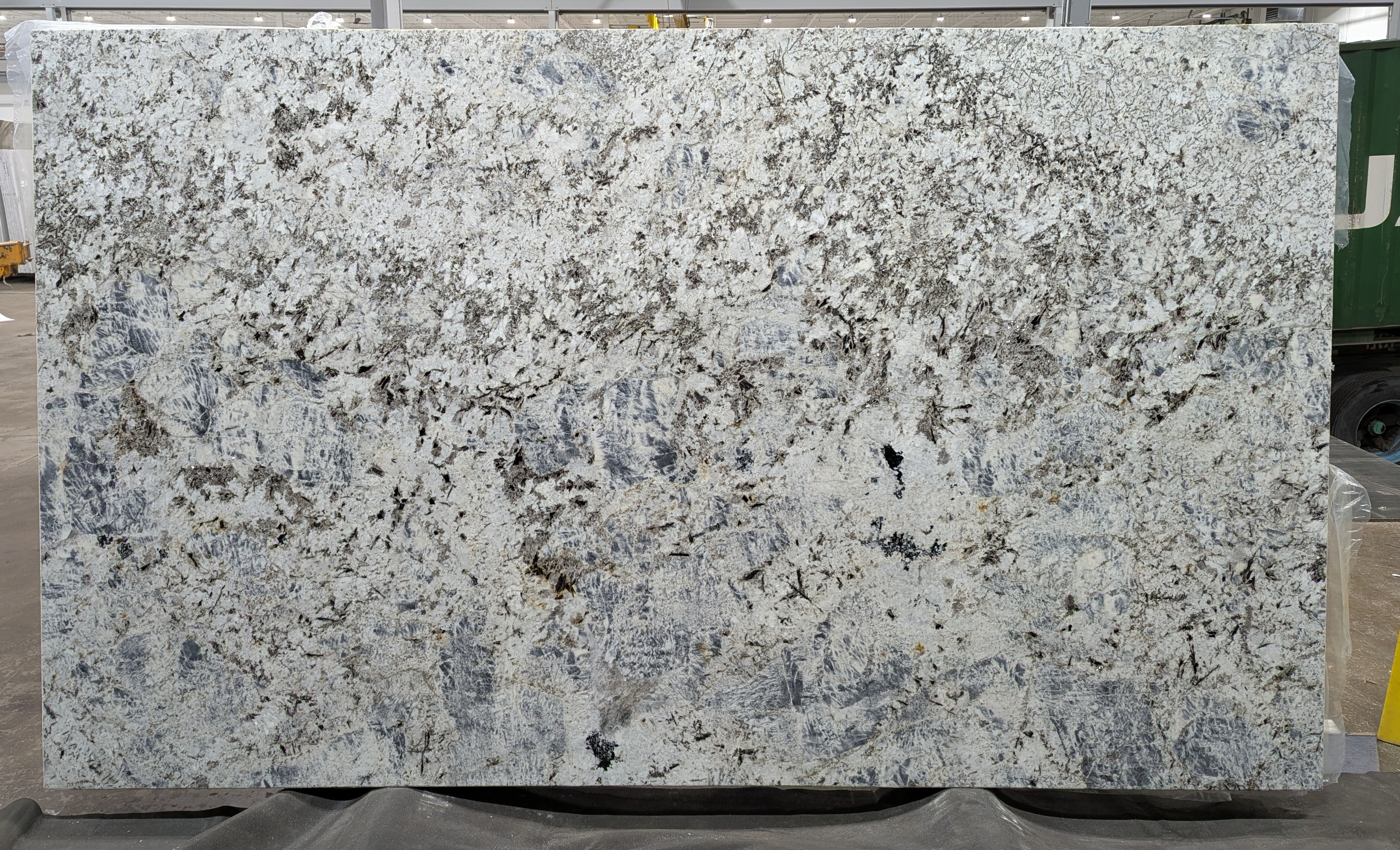 BLUE LABRADO-POL BRUSHED-3CM