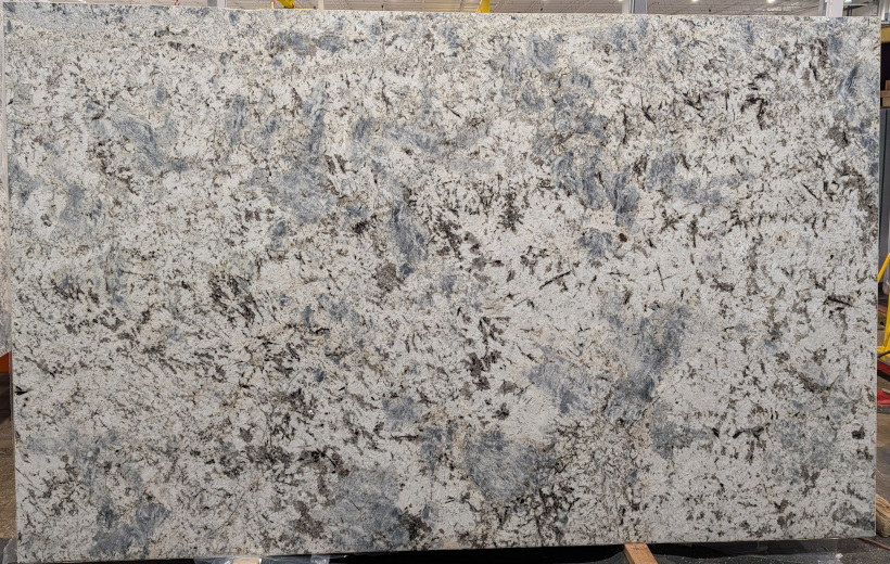 BLUE LABRADO-POL BRUSHED-3CM 4