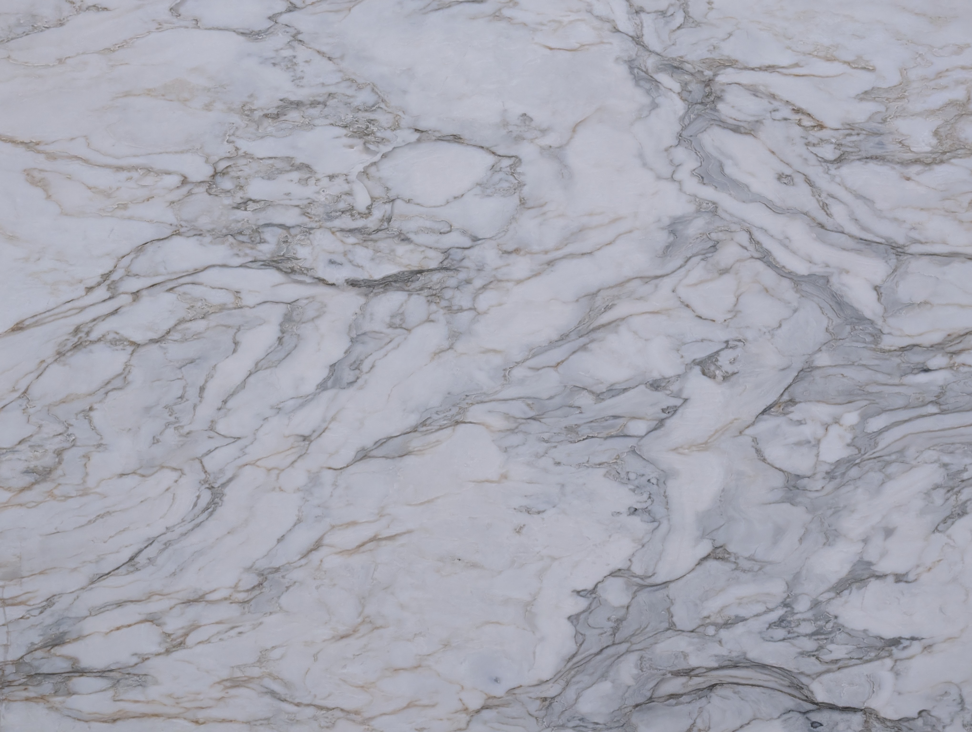 CALACATTA OURO-HONED-3CM