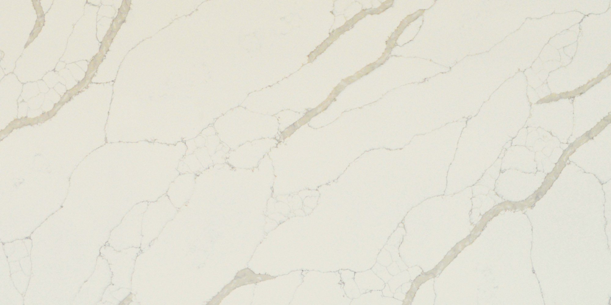 MARECCHIA-POL-3CM