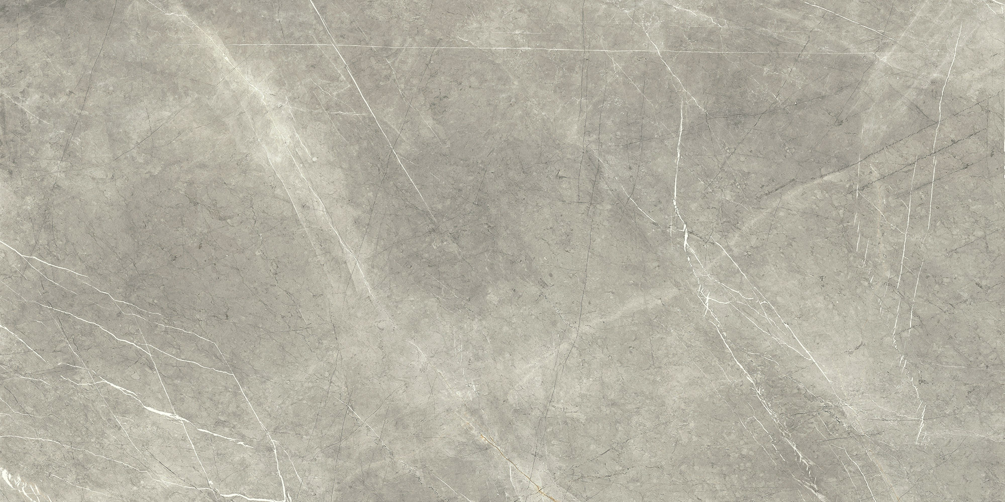 ENVI Porcelain Slab Collection