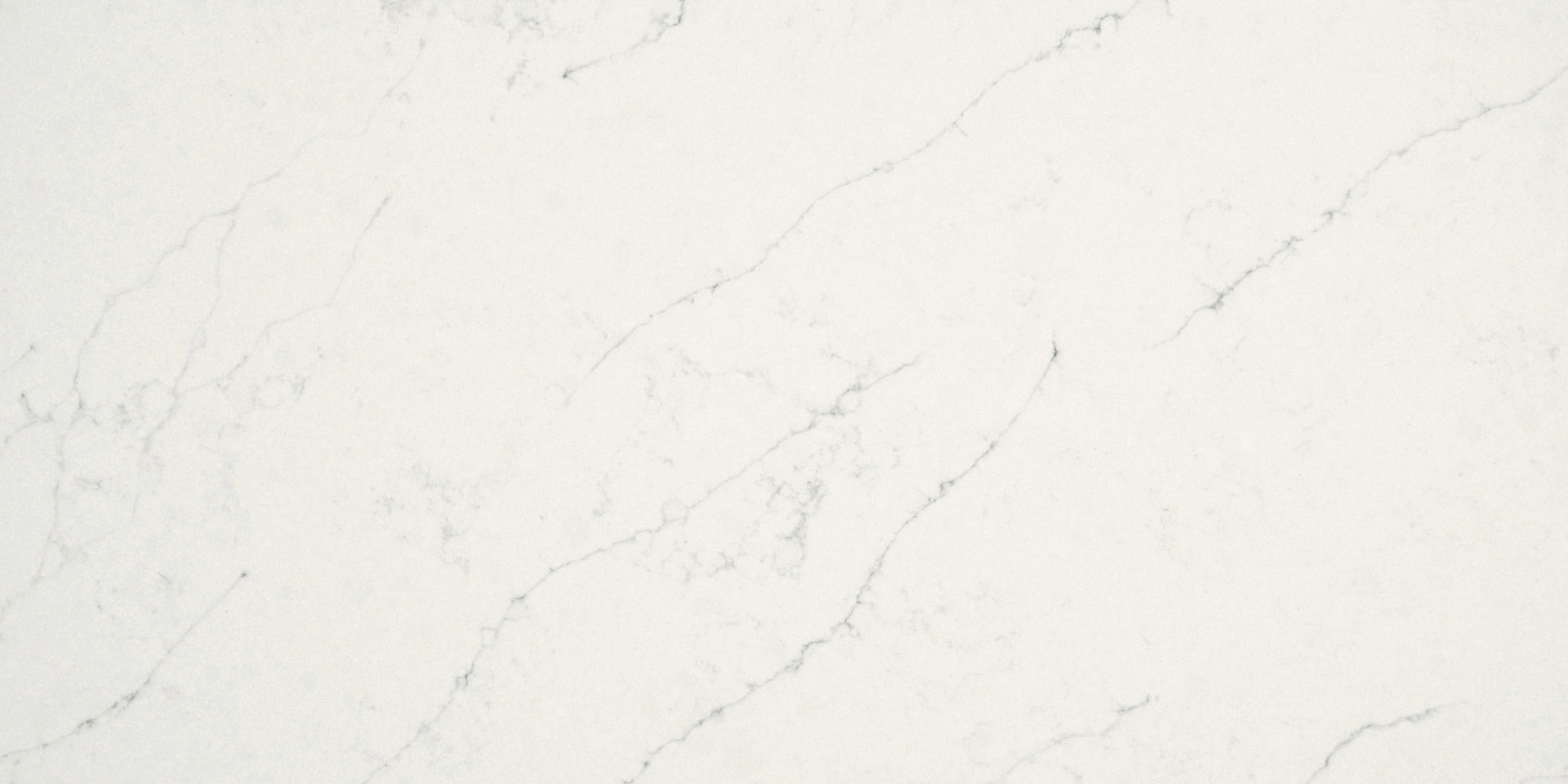 VENATINO ARMADA-POL-3CM